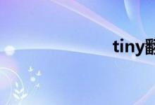 tiny翻译（tin）