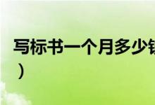 写标书一个月多少钱（技术标书包括哪些内容）