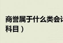 商誉属于什么类会计科目（商誉属于什么会计科目）