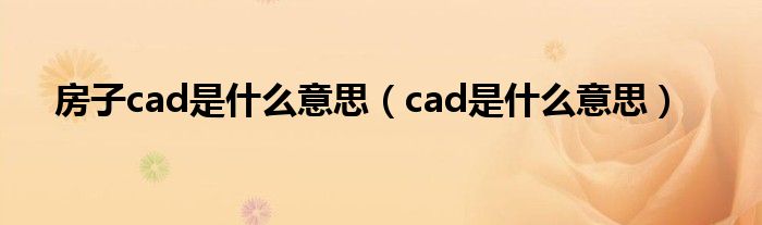 房子cad是什么意思（cad是什么意思）