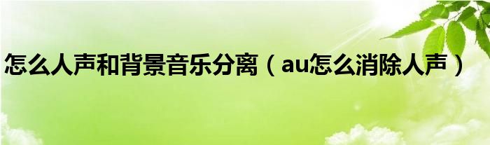 怎么人声和背景音乐分离（au怎么消除人声）