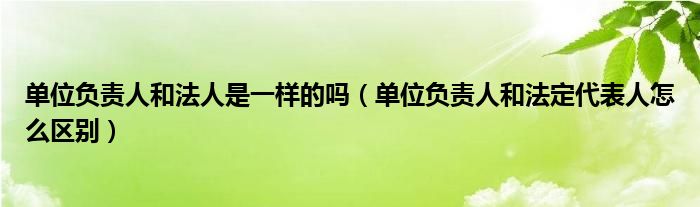 单位负责人和法人是一样的吗（单位负责人和法定代表人怎么区别）