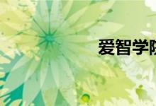 爱智学院（爱智学）