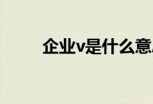 企业v是什么意思（企业vi是什么）