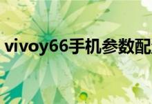 vivoy66手机参数配置（vivo y66手机参数）