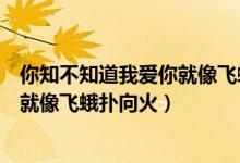 你知不知道我爱你就像飞蛾扑向火虎二（你知不知道我爱你就像飞蛾扑向火）