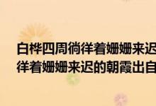 白桦四周徜徉着姗姗来迟的朝霞是什么意思?（白桦四周徜徉着姗姗来迟的朝霞出自哪里）