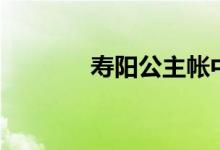 寿阳公主帐中香（寿阳公主）
