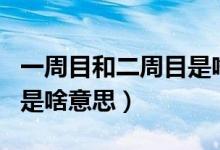 一周目和二周目是啥意思啊（一周目和二周目是啥意思）