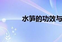 水笋的功效与作用禁忌(水笋)