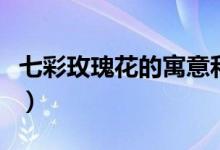 七彩玫瑰花的寓意和象征（七彩玫瑰花是什么）