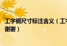 工字钢尺寸标注含义（工字钢在图纸上怎么标注各代表什么 谢谢）