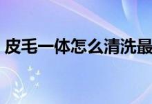 皮毛一体怎么清洗最好（皮毛一体怎么清洗）