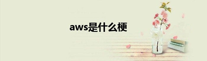 aws是什么梗