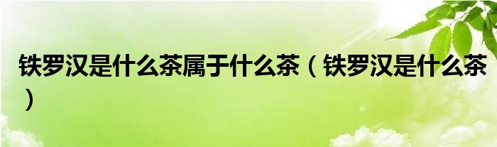 铁罗汉是什么茶属于什么茶（铁罗汉是什么茶）