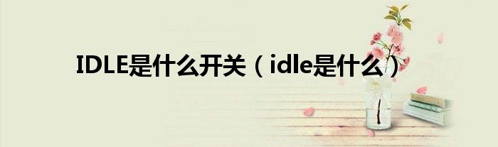 IDLE是什么开关（idle是什么）