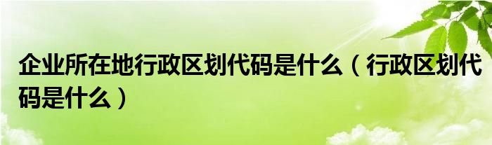 企业所在地行政区划代码是什么（行政区划代码是什么）