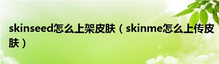 skinseed怎么上架皮肤（skinme怎么上传皮肤）