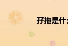 孖拖是什么意思（孖9）