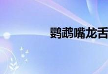 鹦鹉嘴龙舌兰（鹦鹉嘴龙）