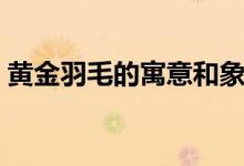 黄金羽毛的寓意和象征（羽毛的寓意和象征）