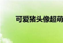 可爱猪头像超萌图片（可爱猪头像）