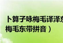 卜算子咏梅毛译泽东带拼音可打印（卜算子咏梅毛东带拼音）