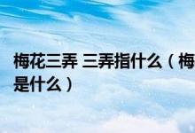 梅花三弄 三弄指什么（梅花三弄的 ldquo 三弄 rdquo 指的是什么）