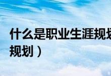 什么是职业生涯规划的前提（什么是职业生涯规划）