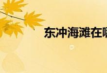 东冲海滩在哪里（东冲海滩）