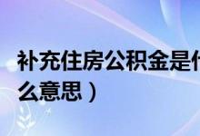 补充住房公积金是什么意思（住房公积金是什么意思）