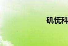 矶怃科技（矶怃）