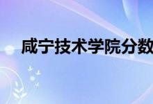 咸宁技术学院分数线（咸宁学院分数线）
