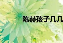 陈赫孩子几几年（陈赫的孩子）