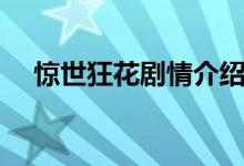 惊世狂花剧情介绍（惊世狂花未删减版）
