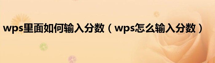 wps里面如何输入分数（wps怎么输入分数）