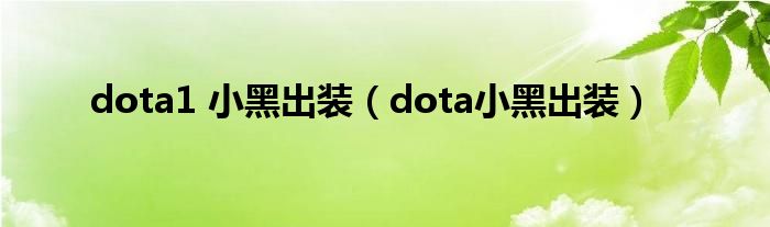 dota1 小黑出装（dota小黑出装）