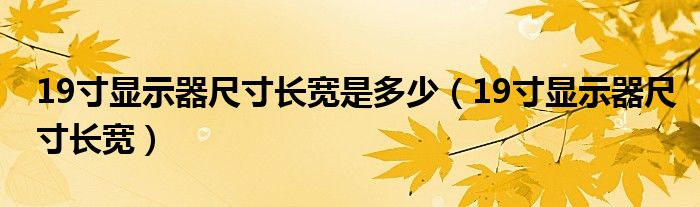 19寸显示器尺寸长宽是多少（19寸显示器尺寸长宽）