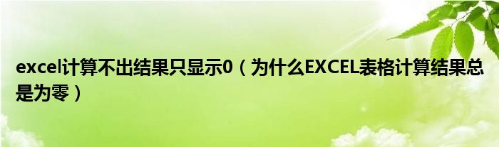 excel计算不出结果只显示0（为什么EXCEL表格计算结果总是为零）