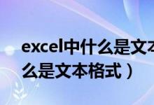 excel中什么是文本格式和数字（excel中什么是文本格式）