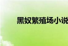 黑奴繁殖场小说原文（黑奴繁殖场）