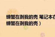 螃蟹在剥我的壳 笔记本在写我 我落在漫天飞舞的雪花上（螃蟹在剥我的壳）