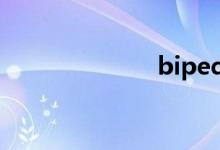 bipedal（bip）