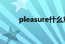 pleasure什么意思（pl什么意思）