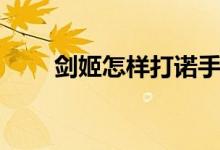 剑姬怎样打诺手（剑姬怎么打诺手）
