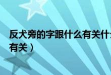 反犬旁的字跟什么有关什么答案最正确（反犬旁的字跟什么有关）