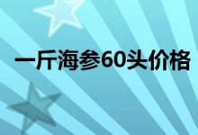 一斤海参60头价格（吃海参的好处和禁忌）
