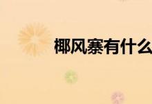 椰风寨有什么好玩的（椰风寨）