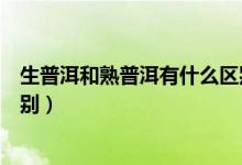 生普洱和熟普洱有什么区别图片（生普洱和熟普洱有什么区别）