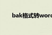 bak格式转word（bak文件转换器）